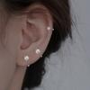 Pendientes de Nuez Ruyi Estilo Ins para Mujer Pequeños y Exquisitos Modernos Elegantes Pendientes Versátiles que no Molestan Pendientes