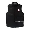Chaqueta de Plumas de Ganso Transfronteriza con Cuello Alto para Hombres y Mujeres, Chaleco Clásico 08, Chaqueta Cálida para Exteriores para Primavera, Otoño e Invierno