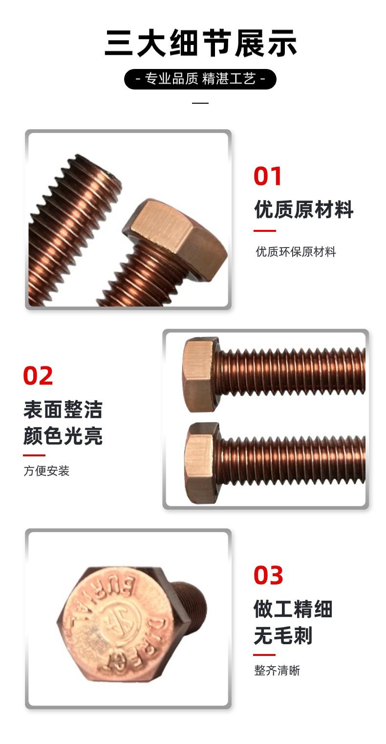 硅青铜外六角螺栓1 (2)