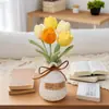 Tulipa Colorida em Degradê Finalizada, Prímula, Orquídea Borboleta, Vaso de Lã, Planta em Vaso, Ornamento de Decoração para Casa, Bonsai de Mesa