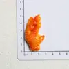 Accesorios Grandes de Resina de Comida Simulada: Cerdo Estofado, Patas de Pollo, Pasadores DIY, Imanes para Refrigerador y Materiales para Crocs al por Mayor