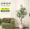 Planta de olivo en maceta para sala de estar interior, esquejes reales, planta grande en maceta, fácil de cuidar, adecuada para inauguración de casa y mudanza