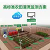 Máquina automática integrada de água e fertilizante para irrigação e filtragem agrícola, adequada para pomares de mirtilos.