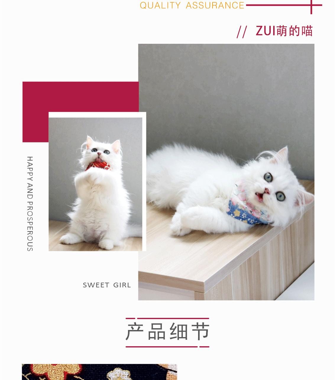 猫咪三角巾详情页_02