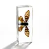 Especímenes de Insectos de Resina Real: Insectos Reales, Escarabajos, Arañas, Ciervos Voladores, Escarabajos Rinoceronte, Escorpiones, Ciempiés, Cangrejos, Mantis Religiosas, Adornos de Especímenes