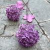 Venta al por mayor de flores artificiales de color púrpura oscuro para bodas, taro morado de uva, decoración suave para salón de bodas morado, decoración con plomo en el camino, flor falsa.