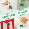 Pelota de hierba gatera, fruto de la vesícula biliar, hierba gatera, limpieza de dientes molares, juguete para gato de autoentretenimiento, pelota de hierba gatera, pelota de juguete para mascotas al por mayor