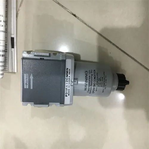 P31FA12CMMN