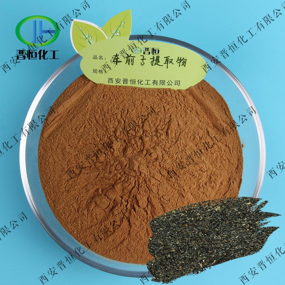 车前子提取物容器+粉末