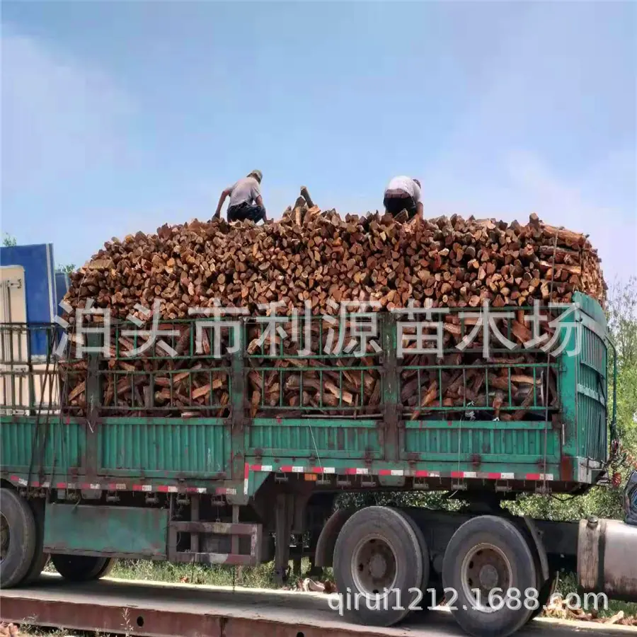 微信图片_20190925082023.jpg