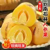 Fruta de Ginseng Shilin de Yunnan 2.5 kg Fruta fresca madurada en el árbol, fruta de ginseng fresca con pulpa amarilla colorida, fruta redonda, envío gratis