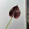 Antúrio com toque de PU artificial, cacto florido e flor-flamingo para decoração suave, arranjos florais, vitrines, quartos modelo e decoração de casa