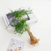 Vaso de Vidro Hidropônico Transparente Minimalista Criativo para Cultivo de Plantas Verdes Como Jiboia, Osmanthus e Pinheiro Arhat