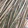 Tiras de Bambú, Cáscara de Bambú, Tiras de Bambú para Decoración de Bodas, Productos de Tejido de Bambú, Longitud 3 m Ancho 2 cm Grosor 1 mm