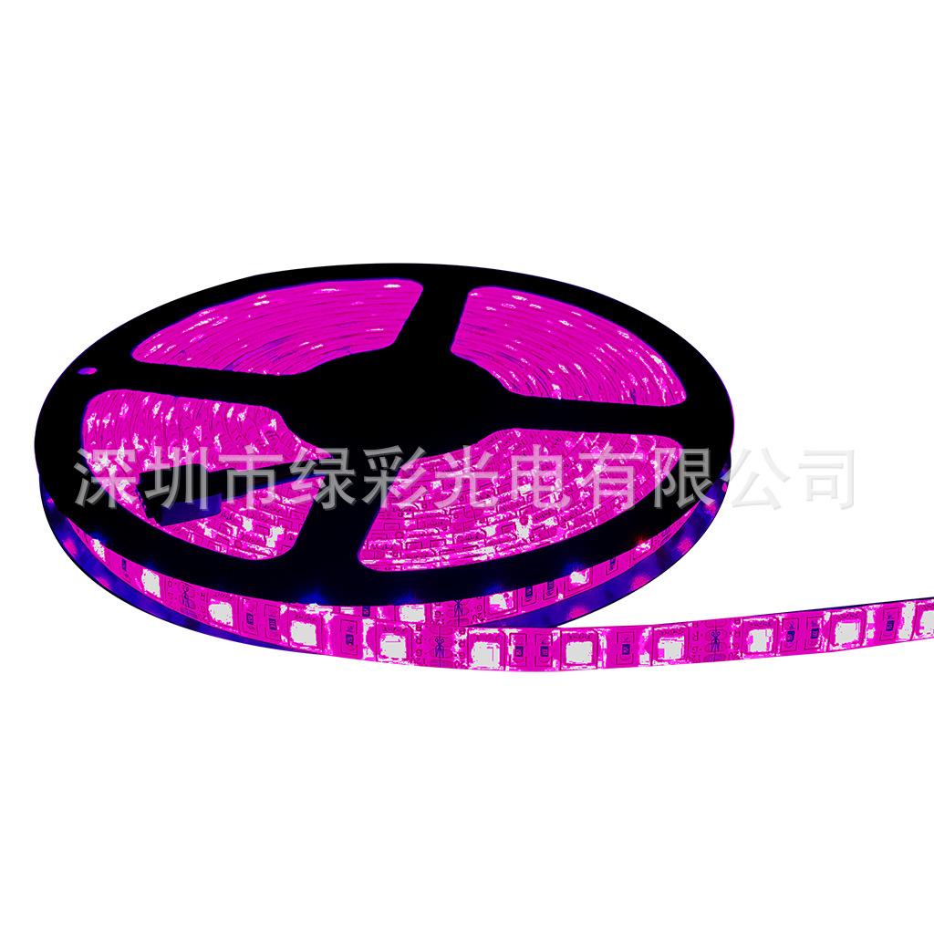 5050防水60灯RGB粉色