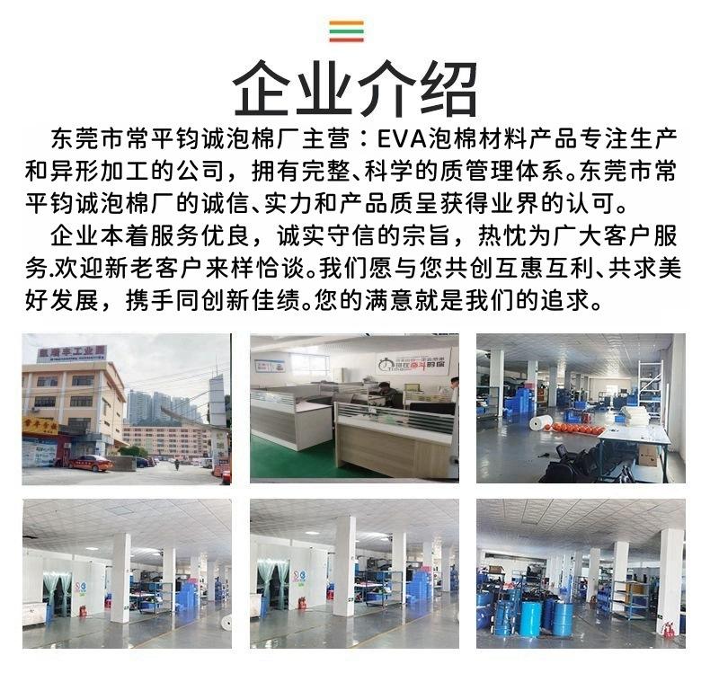 EVA公司简介_副本.jpg