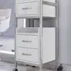 Carrito de Herramientas Especiales para Salón de Peluquería, Carrito para Tienda de Peluquería, Estante de Almacenamiento, Carrito de Almacenamiento de Metal para Barbería Sin Instalación