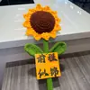 Primer Lugar Hilo Falso Crochet Producto Terminado Ramo de Girasoles Lista Dorada Pintada a Mano de Candidatos Exitosos Girasol de Graduación Pequeño Regalo