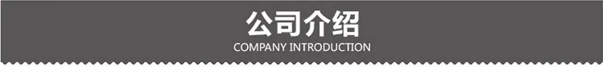 公司介绍 副本