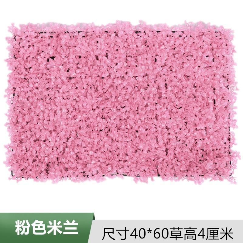 粉色米兰.jpg