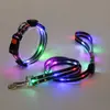 Collar LED Iluminado Mejorado con Siete Modos de Luz de Colores, Recargable, Iluminado por la Noche, Collar para Perro