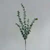 Hojas de Eucalipto Artificiales Transfronterizas de 5 Ramas, Hojas de Dinero, Ramo de Caucho de Tacto Suave de una Rama Estilo Nórdico, Accesorios para Arreglos Florales
