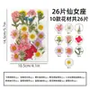 Marcador de Flores Secas Simple Materiales Manualidades DIY Espécimen Transparente Encapsulación de Resina Flores Prensadas Plantas Pegatinas de Flores Secas Botellas Para Estudiantes