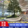 Banca de paisaje GRC de forma irregular urbana grande personalizada de fábrica, macizo de flores, jardín de cemento de hormigón, área de descanso de aeropuerto, alcorque