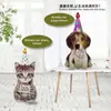 Globos de Gato y Perro de Dibujos Animados de Cumpleaños Transfronterizos Arreglo de Globos para el Primer Cumpleaños de Niños Globos para Puesto de Mercado Nocturno en el Parque