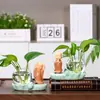 Vaso de videira verde hidropônica do monge Hui Neng, decoração de mesa de sala de estar para casa, vaso de decoração de estação de trabalho de escritório