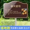 Placa de Introdução de Planta Placa de Árvore Parque Escolar Aço Inoxidável Haste de Inserção no Solo Placa de Informação de Plantio de Árvores Introdução de Árvore