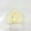 Cabeza de Flor de Falenopsis Grande Serigrafiada Flor Artificial Exportación Boda Francesa Caja de Dulces Accesorios para Cabeza de Flor Tocado Flor Artificial Sombrero Flor