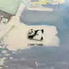 Botones de Animales Lindos de Dibujos Animados en Forma de Panda, Rana y Capibara para Decoración de Ropa Infantil, Calcetines y Gorros