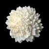 Múltiples Opciones de Dropshipping Difusor de Caña de Rattan Flor Sola Decoración del Hogar Flores Secas Se Pueden Teñir Palitos de Inserción Perforados
