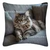 Fronha de Gato Temu Transfronteiriça Animal Fofo Infantil Gato Quarto Casa Sofá Capa de Almofada Decorativa Atacado