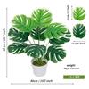 Planta verde casco de tartaruga bambu simulação cabeça pequena modelagem anêmona solta planta de viagem banana decoração de interior plantas ornamentos em feixe atacado