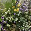 Arreglo de Escena de Flores Artificiales Naturales y Salvajes Estilo Bosque Nuevo, Arte Floral Floral de Flores Artificiales Estilo Bosque Azul Morado Estilo Jardín Venta al por Mayor
