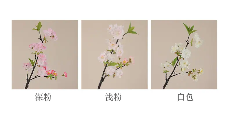 单枝小号好韵樱花-少花_04.jpg