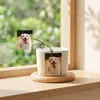 Logo personalizado adornos de vidrio Zibo macetas de cerámica personalizadas personalizadas artesanías de plantas en maceta de vidrio hechas a mano decoración