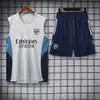 Artículos Más Vendidos Transfronterizos: Uniformes de Fútbol de la Copa del Mundo, Trajes de Entrenamiento para Competición, Sets de Chalecos Transpirables que Absorben el Sudor de Secado Rápido para Aficionados