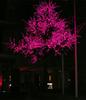 Fabricantes de origen Lámpara de árbol luminoso de simulación de hoja de Ginkgo LED de 6 metros Lámpara de árbol luminoso Árbol de cerezo LED Ganancias pequeñas pero rotación rápida