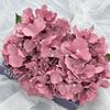 5 diadema flor hortensia hoja centro comercial hotel decoración pared de flores boda montaje auditorio de boda ambiente Día de San Valentín flor falsa