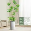 Forma Pie de Pato Madera Sala de Estar Maceta Grande Planta Verde Interior Sala de Estar Grande de Pie Flor Real Pila Vieja Pie de Pato Madera