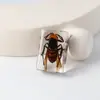 Especímenes Delgados de Insectos Reales, Adornos de Escritorio de Animales Reales, Escorpiones, Tortugas Doradas, Cigarras, Materiales Didácticos para Niños, Manualidades de Resina