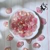 Nove de 16x 20mm vermelho Dan flor esmalte colorido pétalas diy grampo de cabelo feito à mão antigo chinês roupas cocar material acessórios