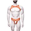 Bambú como ropa Fuentes europeas y americanas de diversión para hombres Arnés de alambre hueco sexy para SM Traje NZN0001