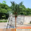 Coqueiro Falso Coqueiro Grande Tropical Outdoor Árvore Artificial para Paisagismo Planta Verde Arranjo de Paisagismo Palmeira Falsa Interna