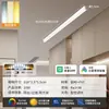 Luminária de Teto Longa Minimalista de Sobrepor para Sala de Estar, Corredor Criativo, Corredor, Varanda Ensolarada e Varanda - Modelo Novo 2026