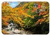 Imán de Refrigerador de Vidrio Paisaje de Ya'an Campos de Té de la Montaña Mengding Casas de Pingchuan Campos Campo de Souvenir Adorno Decorativo Magnético Cultural y Creativo