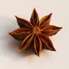 Coleção Completa de Especiarias e Temperos: Anis Estrelado, Anis Grande, Pimenta de Sichuan, Canela, Mistura de Treze Especiarias para Carnes Ensopadas, Temperos para Hot Pot, Atacado de Temperos Domésticos